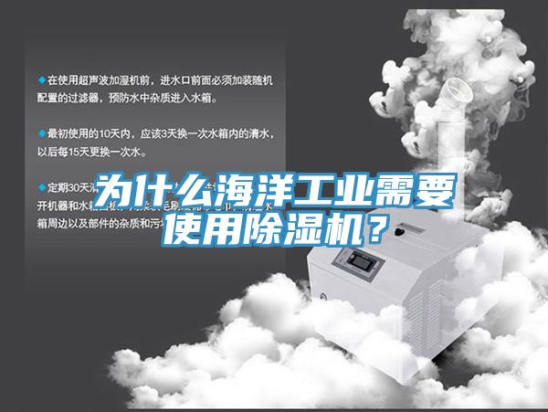 為什么海洋工業(yè)需要使用除濕機(jī)？