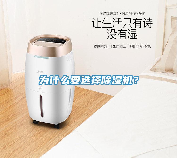 為什么要選擇除濕機(jī)？