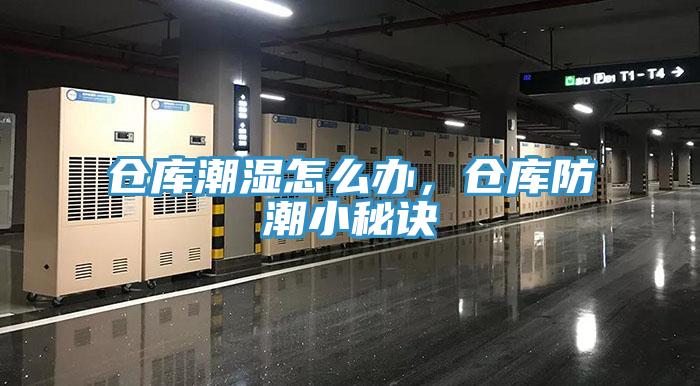 倉(cāng)庫(kù)潮濕怎么辦，倉(cāng)庫(kù)防潮小秘訣
