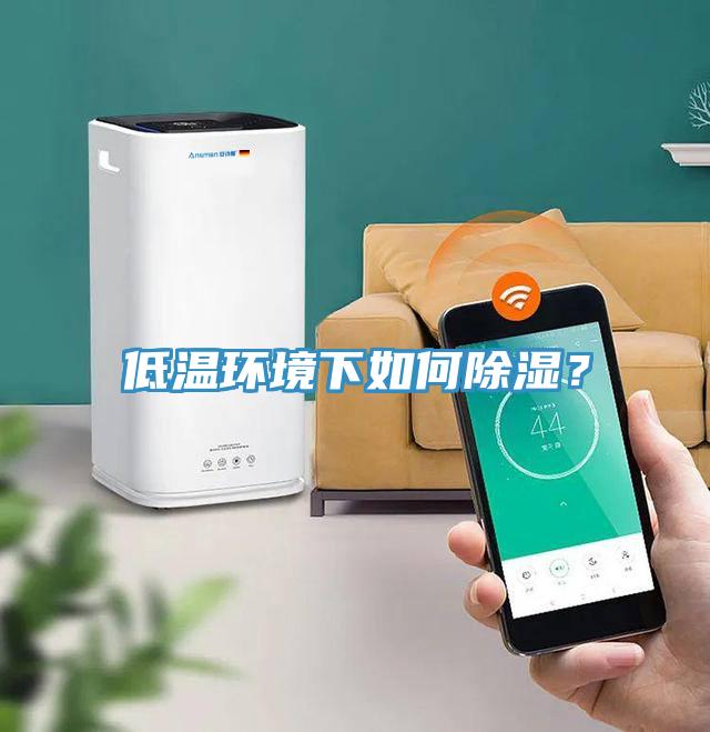 低溫環(huán)境下如何除濕？