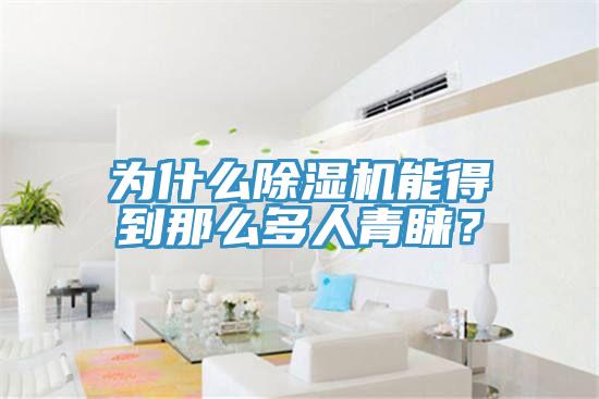 為什么除濕機能得到那么多人青睞？
