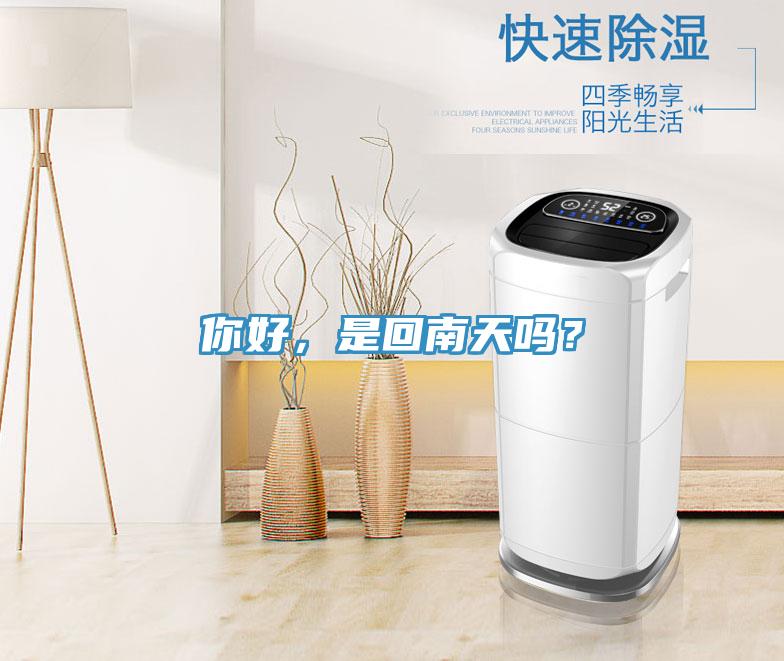 你好，是回南天嗎？