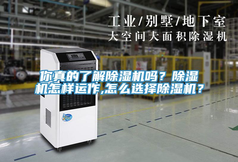 你真的了解除濕機(jī)嗎？除濕機(jī)怎樣運(yùn)作,怎么選擇除濕機(jī)？