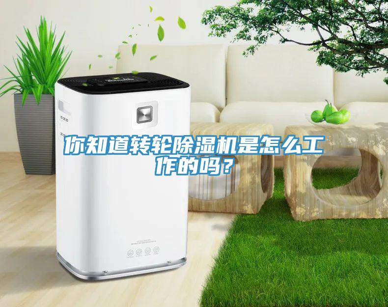 你知道轉(zhuǎn)輪除濕機是怎么工作的嗎？