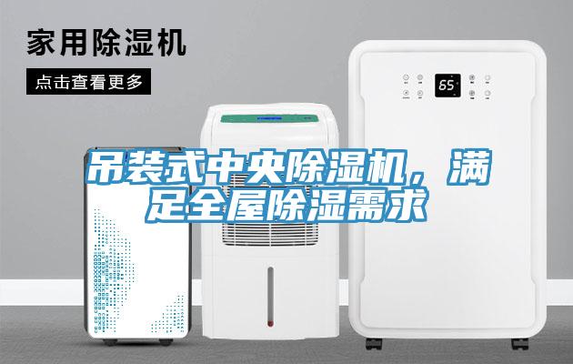 吊裝式中央除濕機(jī)，滿(mǎn)足全屋除濕需求
