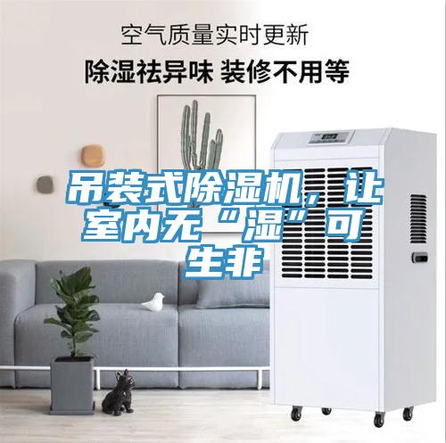 吊裝式除濕機(jī)，讓室內(nèi)無(wú)“濕”可生非