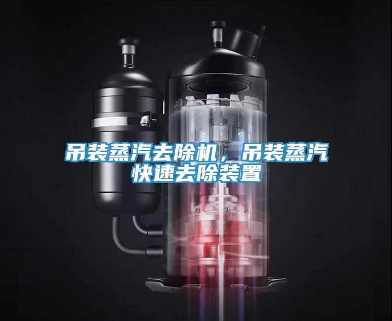吊裝蒸汽去除機(jī)，吊裝蒸汽快速去除裝置