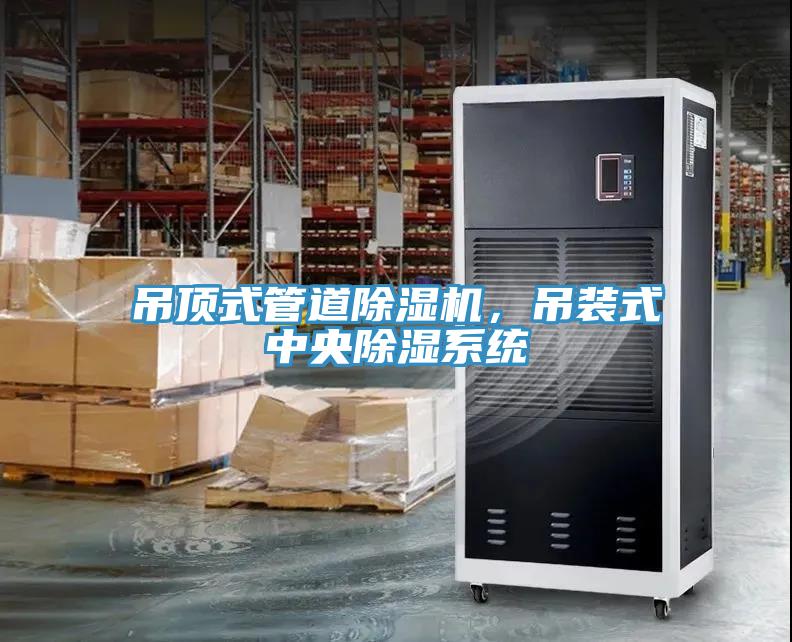 吊頂式管道除濕機(jī)，吊裝式中央除濕系統(tǒng)