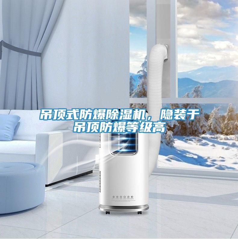 吊頂式防爆除濕機(jī)，隱裝于吊頂防爆等級(jí)高