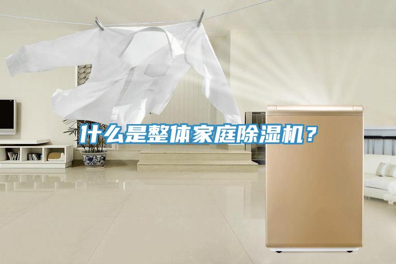 什么是整體家庭除濕機(jī)？