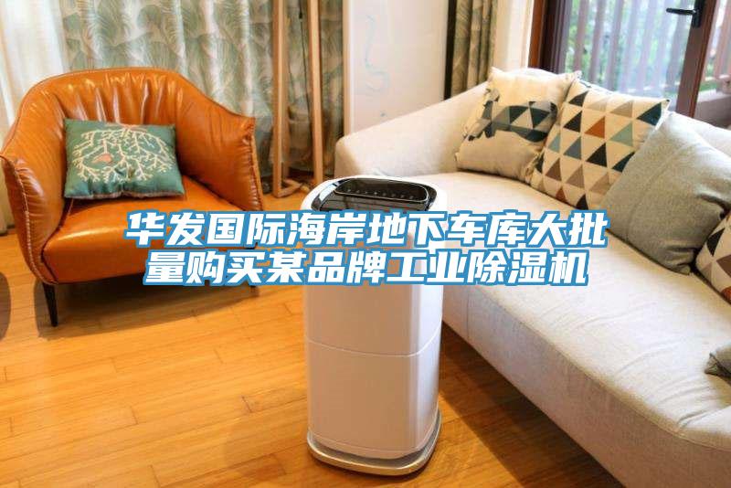 華發(fā)國際海岸地下車庫大批量購買某品牌工業(yè)除濕機(jī)