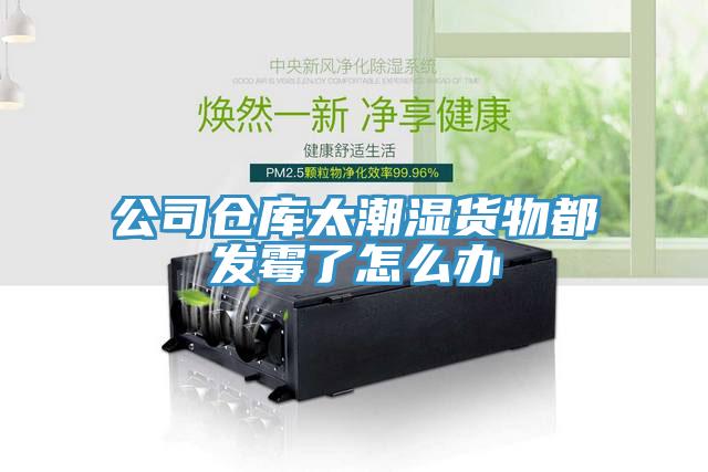 公司倉(cāng)庫(kù)太潮濕貨物都發(fā)霉了怎么辦