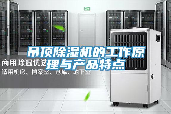 吊頂除濕機的工作原理與產(chǎn)品特點