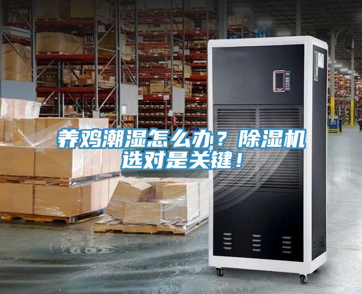 養(yǎng)雞潮濕怎么辦？除濕機(jī)選對(duì)是關(guān)鍵！