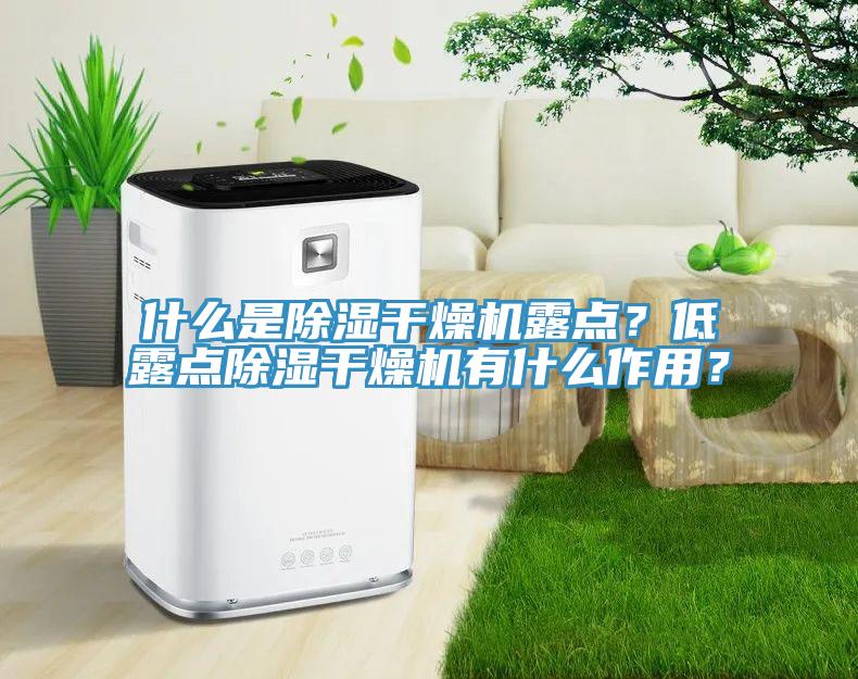 什么是除濕干燥機(jī)露點(diǎn)？低露點(diǎn)除濕干燥機(jī)有什么作用？