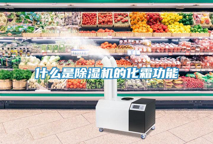 什么是除濕機(jī)的化霜功能