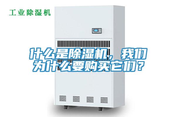 什么是除濕機(jī)，我們?yōu)槭裁匆徺I它們？