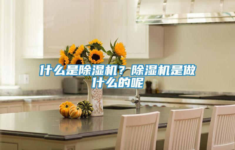 什么是除濕機(jī)？除濕機(jī)是做什么的呢