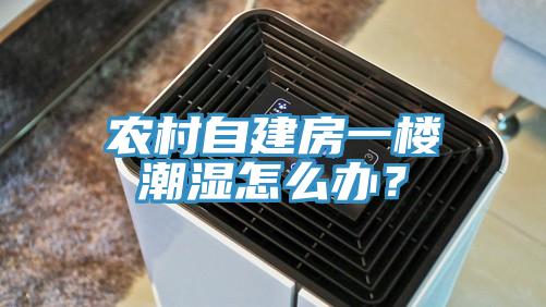 農(nóng)村自建房一樓潮濕怎么辦？
