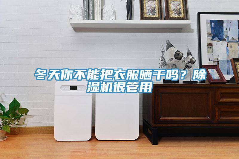 冬天你不能把衣服曬干嗎？除濕機(jī)很管用