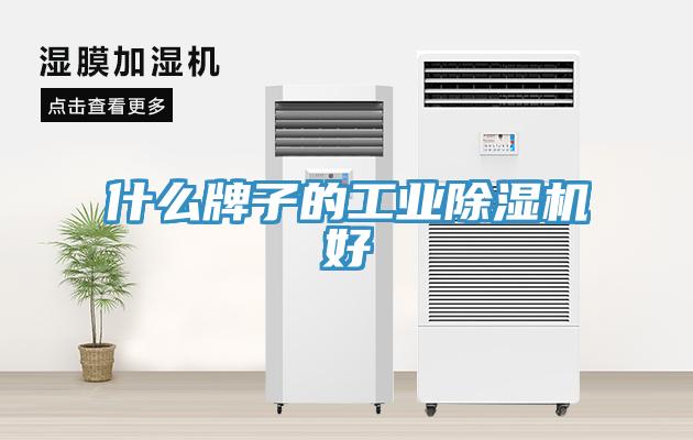 什么牌子的工業(yè)除濕機(jī)好