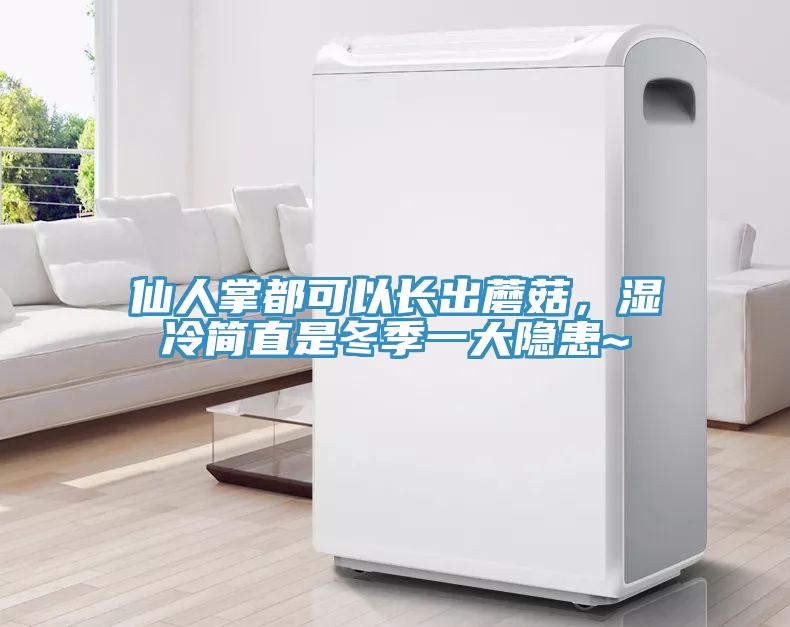 仙人掌都可以長出蘑菇，濕冷簡直是冬季一大隱患~