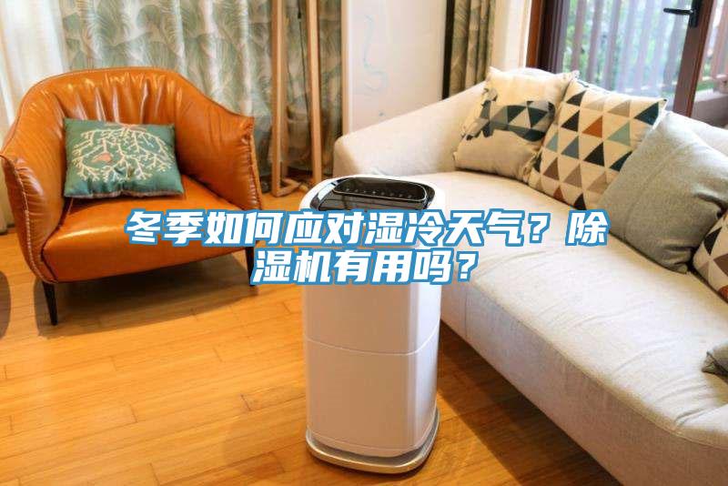 冬季如何應(yīng)對濕冷天氣？除濕機有用嗎？