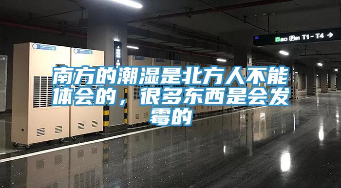 南方的潮濕是北方人不能體會的，很多東西是會發(fā)霉的
