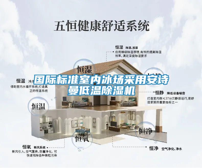 國際標準室內(nèi)冰場采用安詩曼低溫除濕機