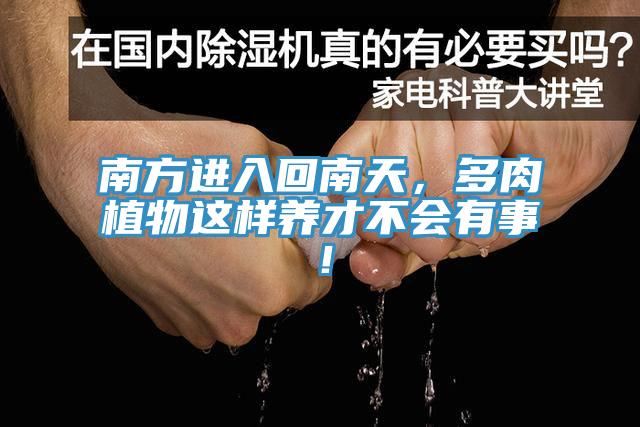 南方進入回南天，多肉植物這樣養(yǎng)才不會有事！