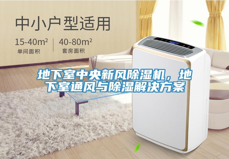 地下室中央新風除濕機，地下室通風與除濕解決方案