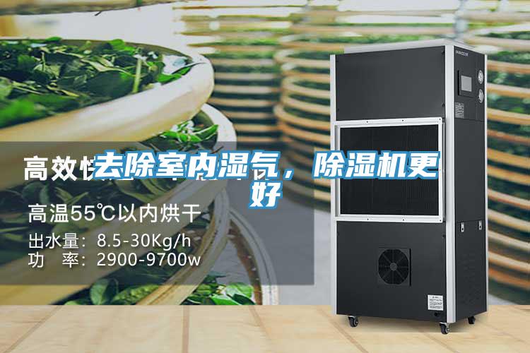 去除室內濕氣，除濕機更好