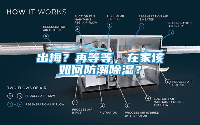 出梅？再等等，在家該如何防潮除濕？