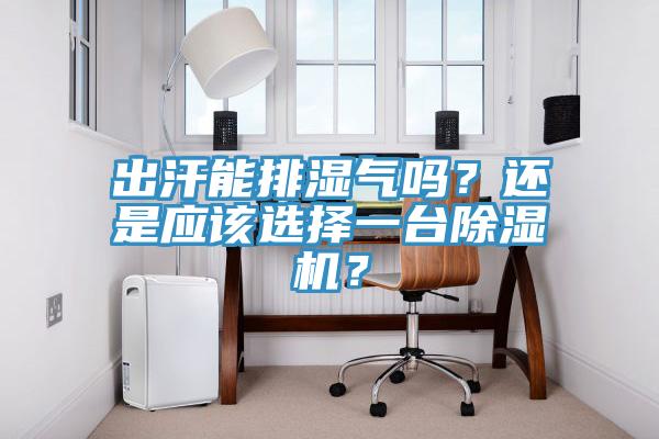 出汗能排濕氣嗎？還是應(yīng)該選擇一臺除濕機(jī)？