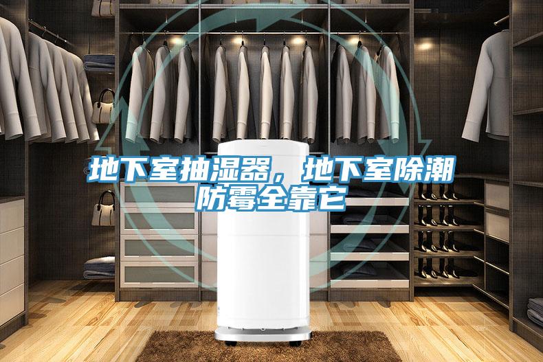 地下室抽濕器，地下室除潮防霉全靠它