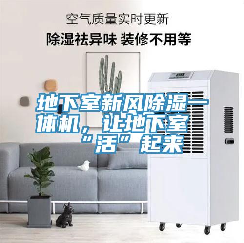 地下室新風(fēng)除濕一體機(jī)，讓地下室“活”起來