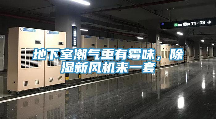 地下室潮氣重有霉味，除濕新風(fēng)機(jī)來一套