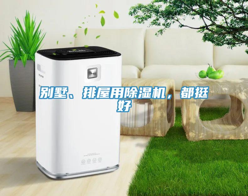 別墅、排屋用除濕機(jī)，都挺好