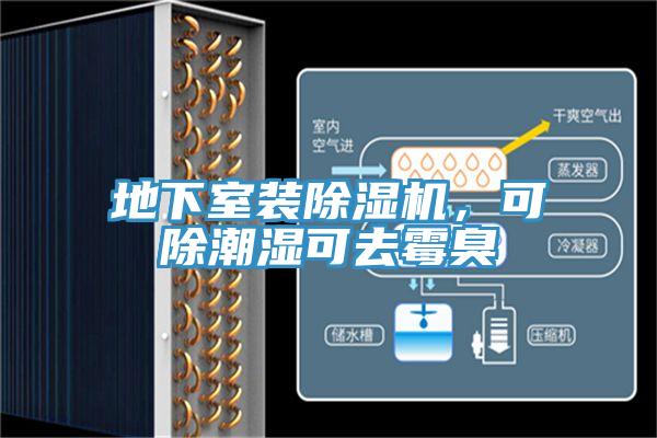 地下室裝除濕機(jī)，可除潮濕可去霉臭