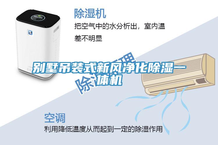 別墅吊裝式新風(fēng)凈化除濕一體機(jī)