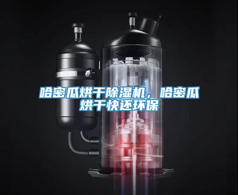 哈密瓜烘干除濕機，哈密瓜烘干快還環(huán)保
