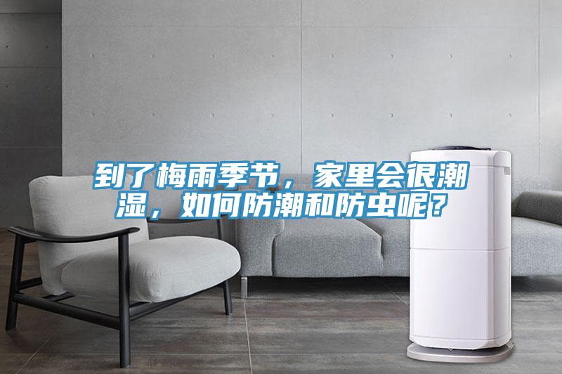 到了梅雨季節(jié)，家里會(huì)很潮濕，如何防潮和防蟲呢？