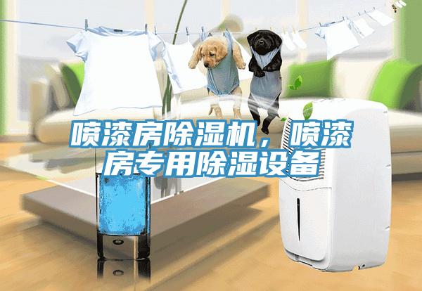噴漆房除濕機(jī)，噴漆房專用除濕設(shè)備