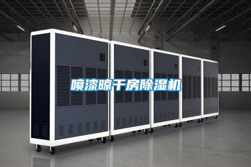 噴漆晾干房除濕機(jī)