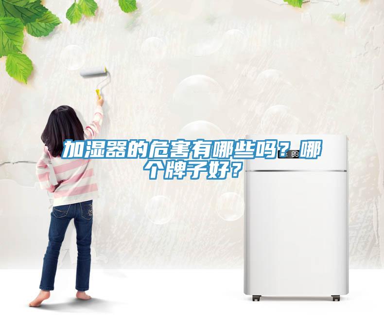 加濕器的危害有哪些嗎？哪個(gè)牌子好？