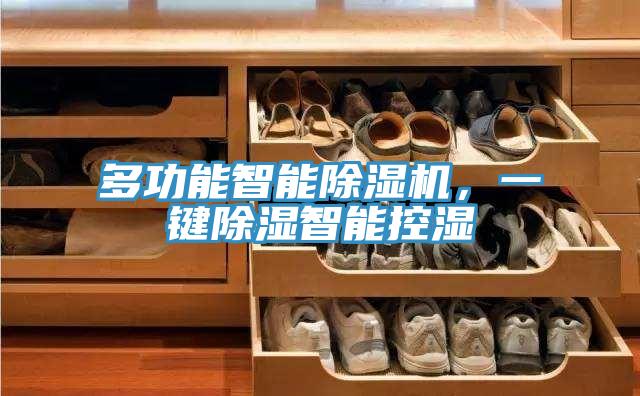 多功能智能除濕機(jī)，一鍵除濕智能控濕